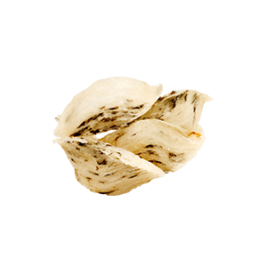 燕窩